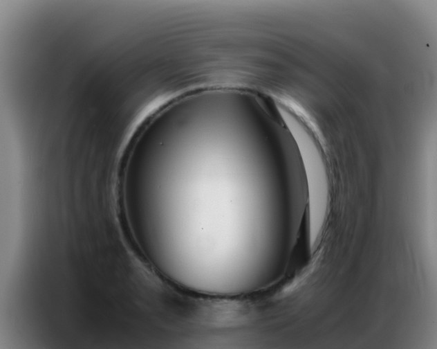 X0000086791085200704201839