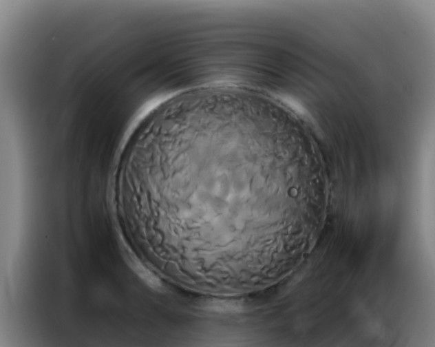 X0000086791086200704201839