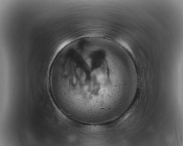 X0000086791087200704201839