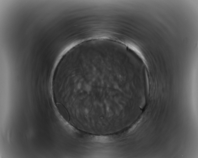 X0000086791088200704201839