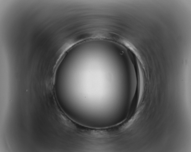 X0000086791089200704201839