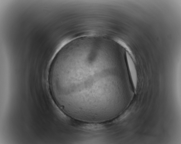 X0000086791091200704201839