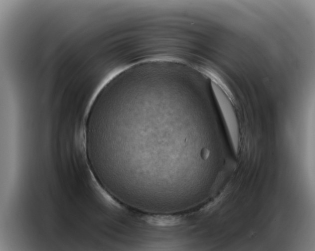 X0000086791092200704201839