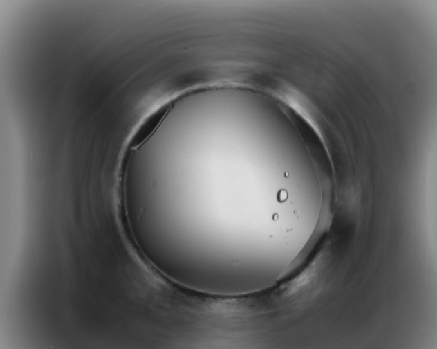 X0000086791093200704201839
