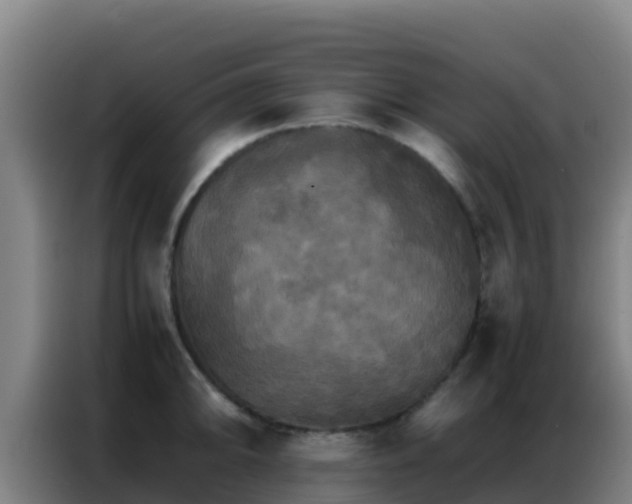 X0000086791094200704201839