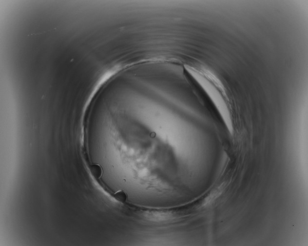 X0000086791095200704201839