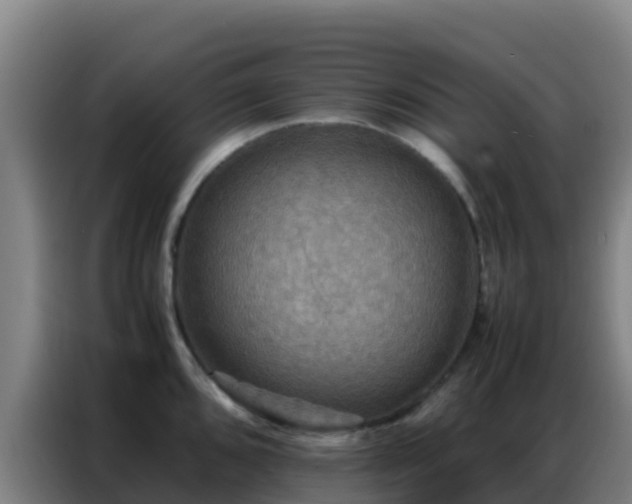 X0000086791096200704201839