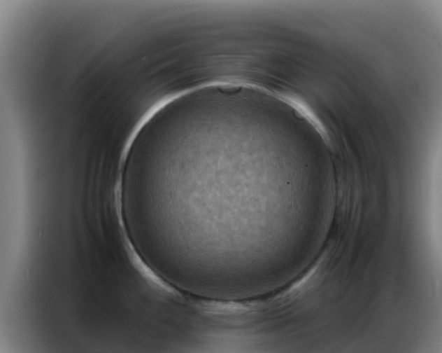 X0000086791100200704201839