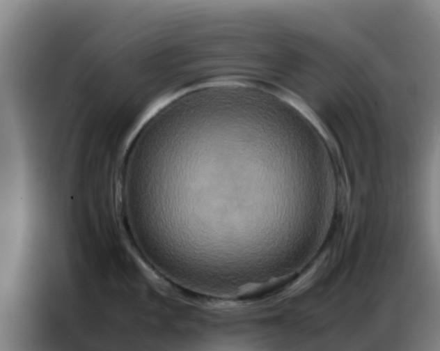 X0000086791101200704201839