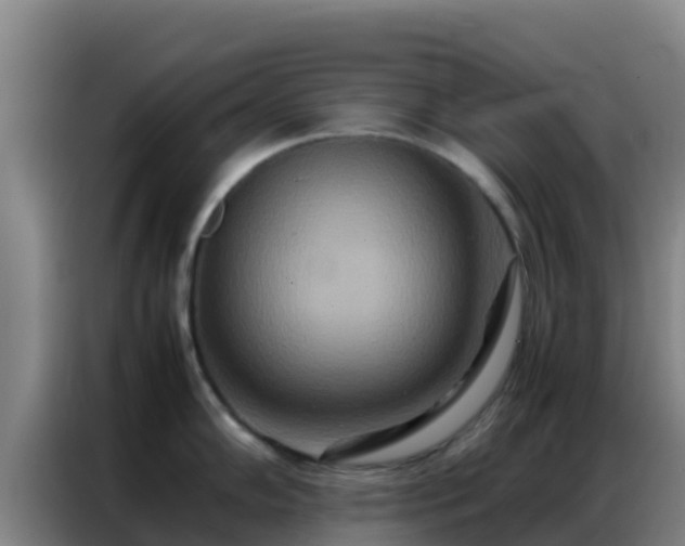 X0000086791102200704201839