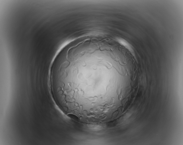 X0000086791103200704201839