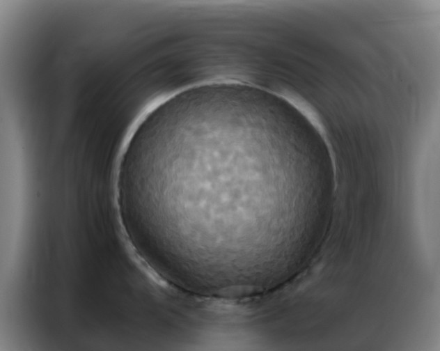 X0000086791104200704201839