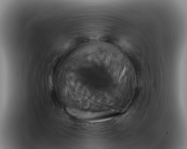 X0000086791106200704201838