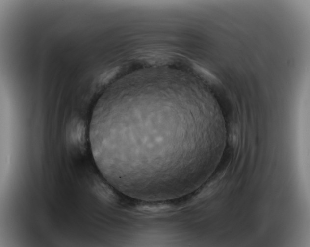 X0000086791108200704201838
