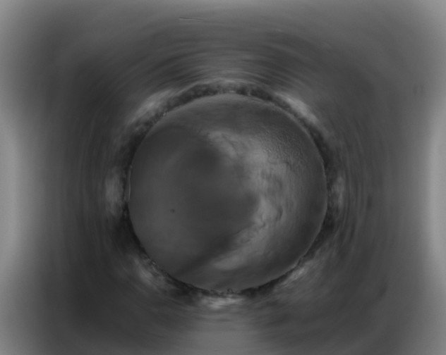 X0000086791110200704201838