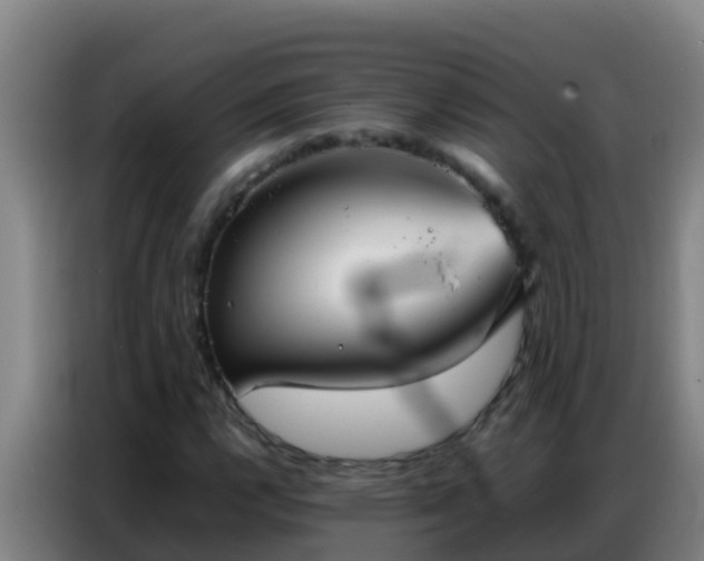 X0000086791112200704201838