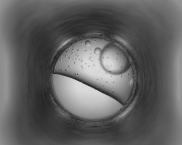 X0000086791113200704201838