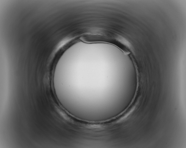 X0000086791114200704201838