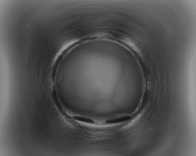 X0000086791117200704201838