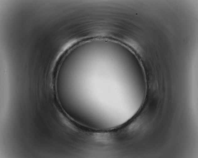 X0000086791118200704201838