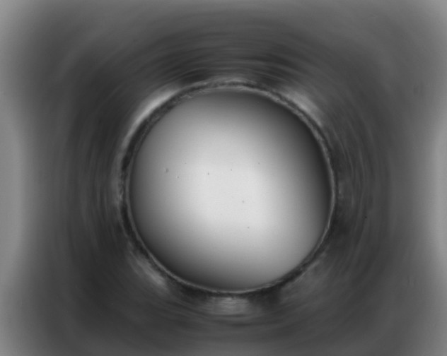 X0000086791119200704201838