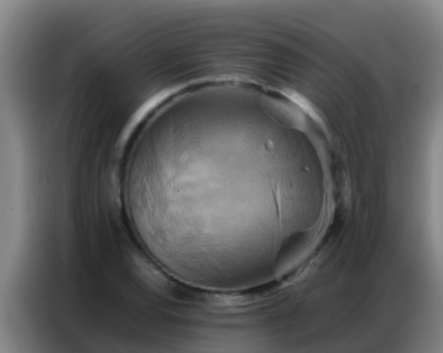 X0000086791120200704201838