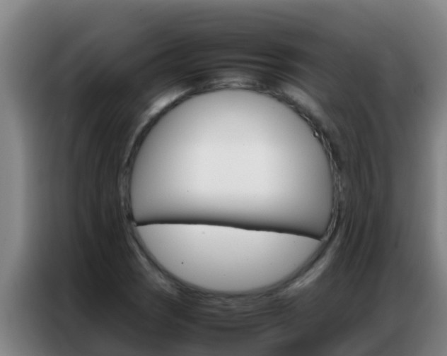 X0000086791121200704201838