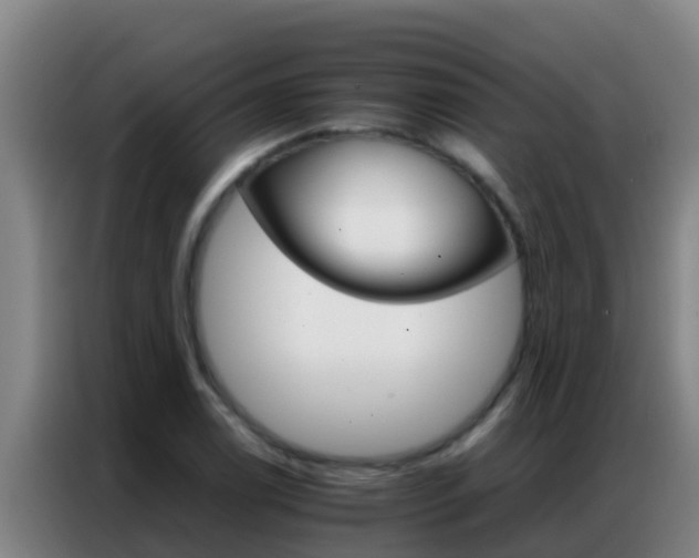 X0000086791122200704201838