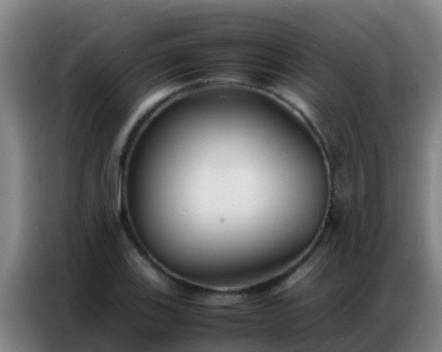 X0000086791123200704201838