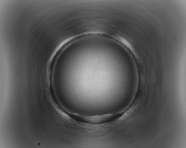 X0000086791124200704201838