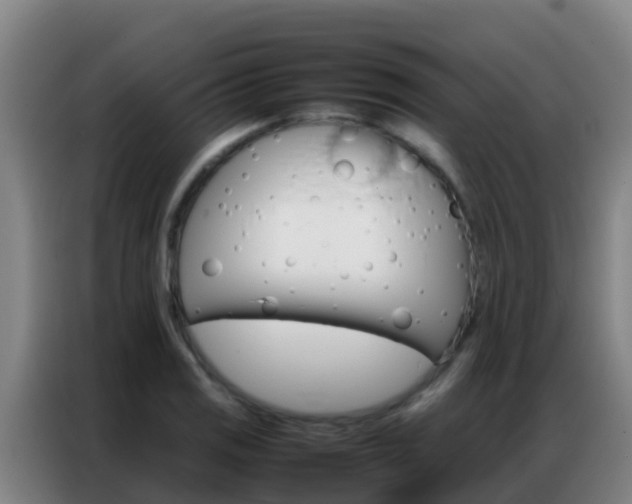 X0000086791125200704201838