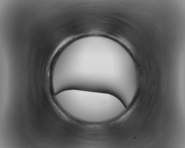 X0000086791126200704201838