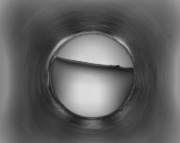 X0000086791127200704201838