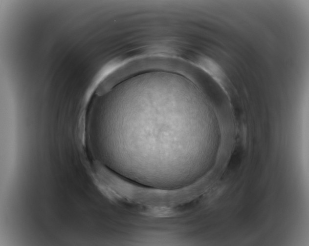 X0000086791128200704201838