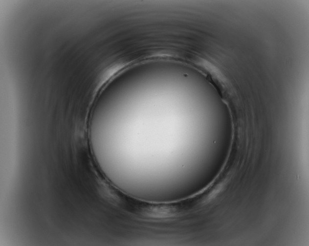 X0000086791129200704201838