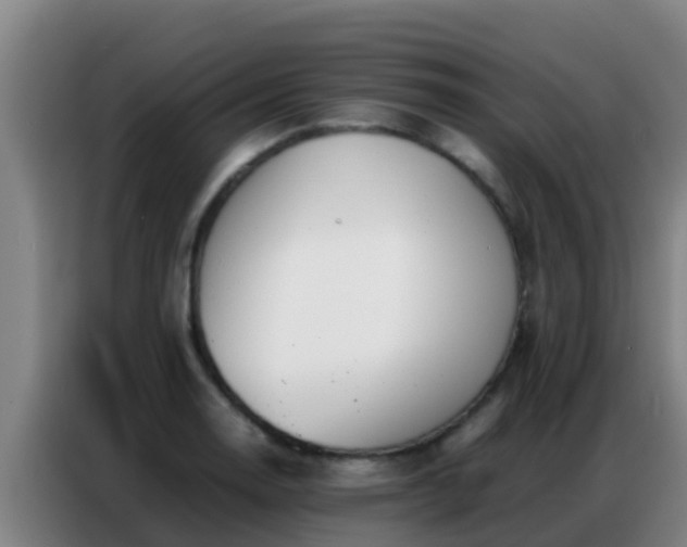 X0000086791130200704201838