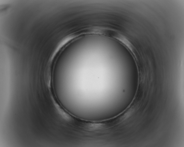 X0000086791131200704201838