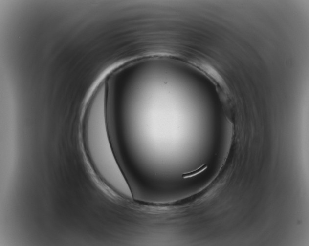 X0000086791132200704201838