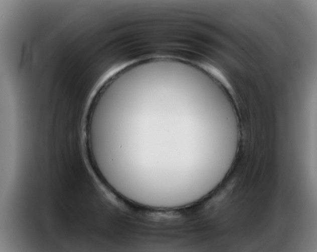 X0000086791133200704201838