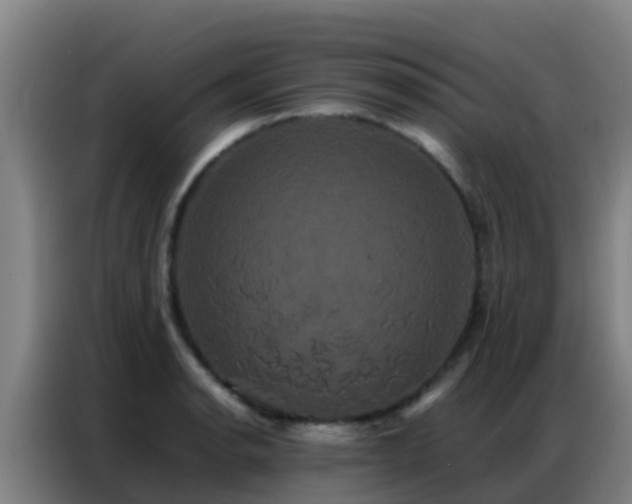 X0000086791134200704201838