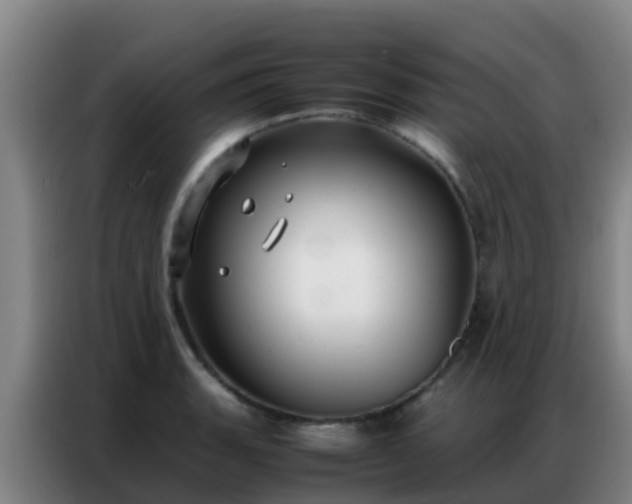 X0000086791135200704201838