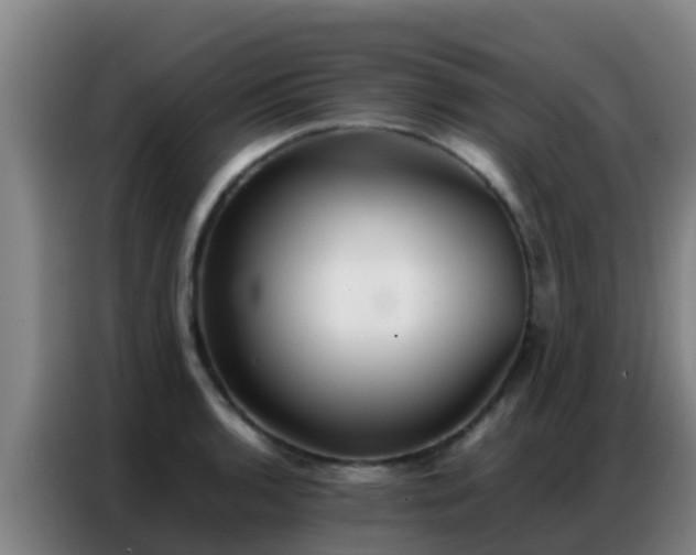 X0000086791136200704201838