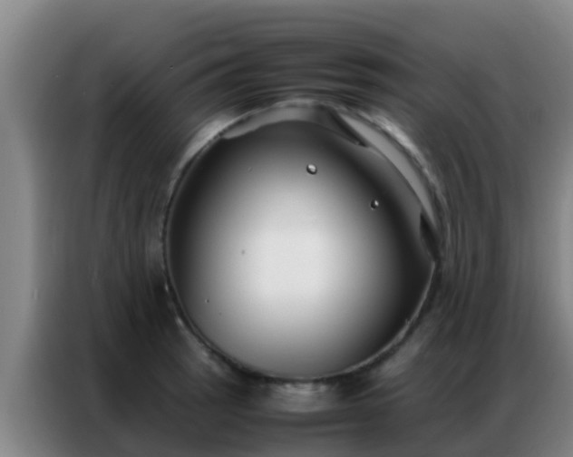 X0000086791137200704201838
