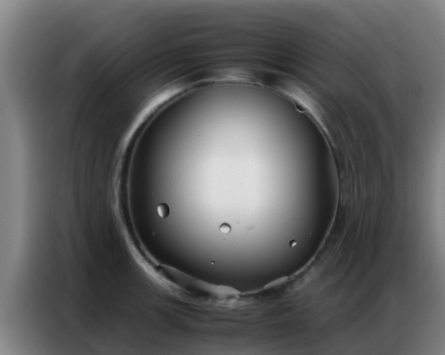 X0000086791139200704201838