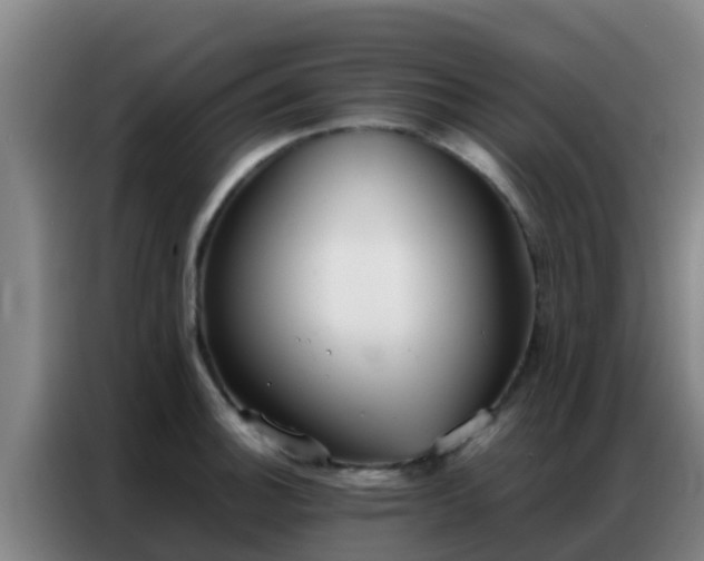 X0000086791140200704201838