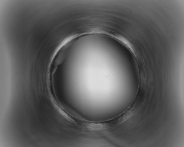 X0000086791142200704201838