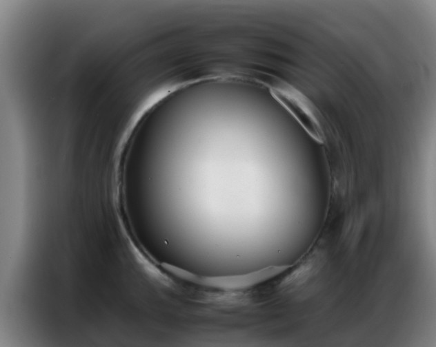 X0000086791143200704201838