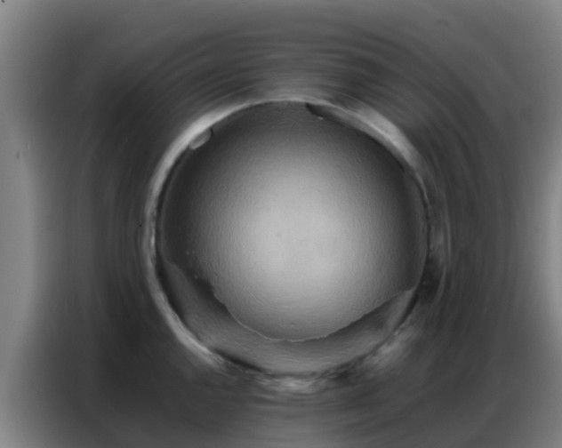 X0000086791144200704201838