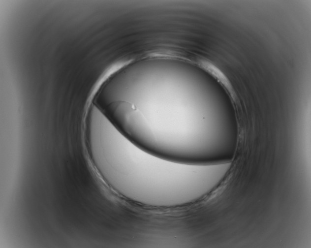 X0000086791146200704201838