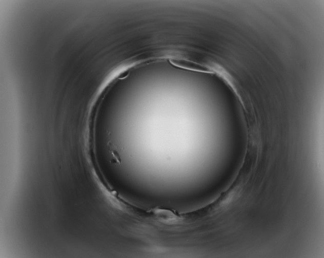 X0000086791147200704201838